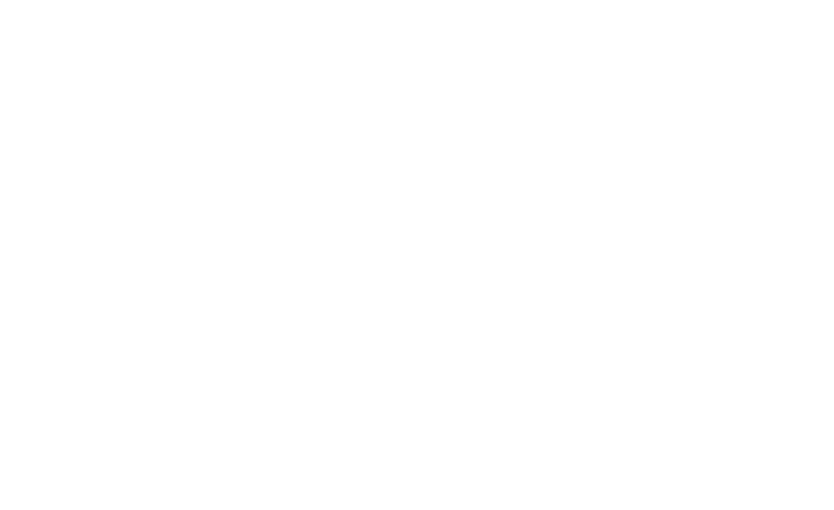 DirVcM_blanco