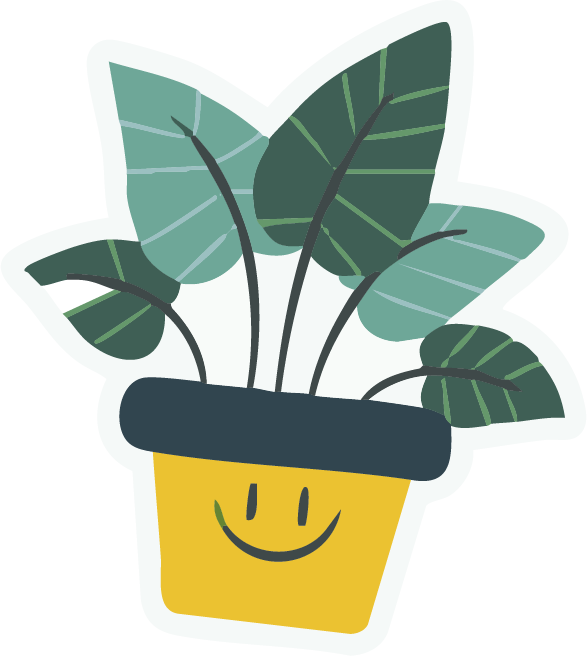 Planta