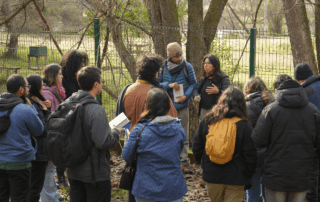 Masiva convocatoria al primer Festival Fungi de Talca