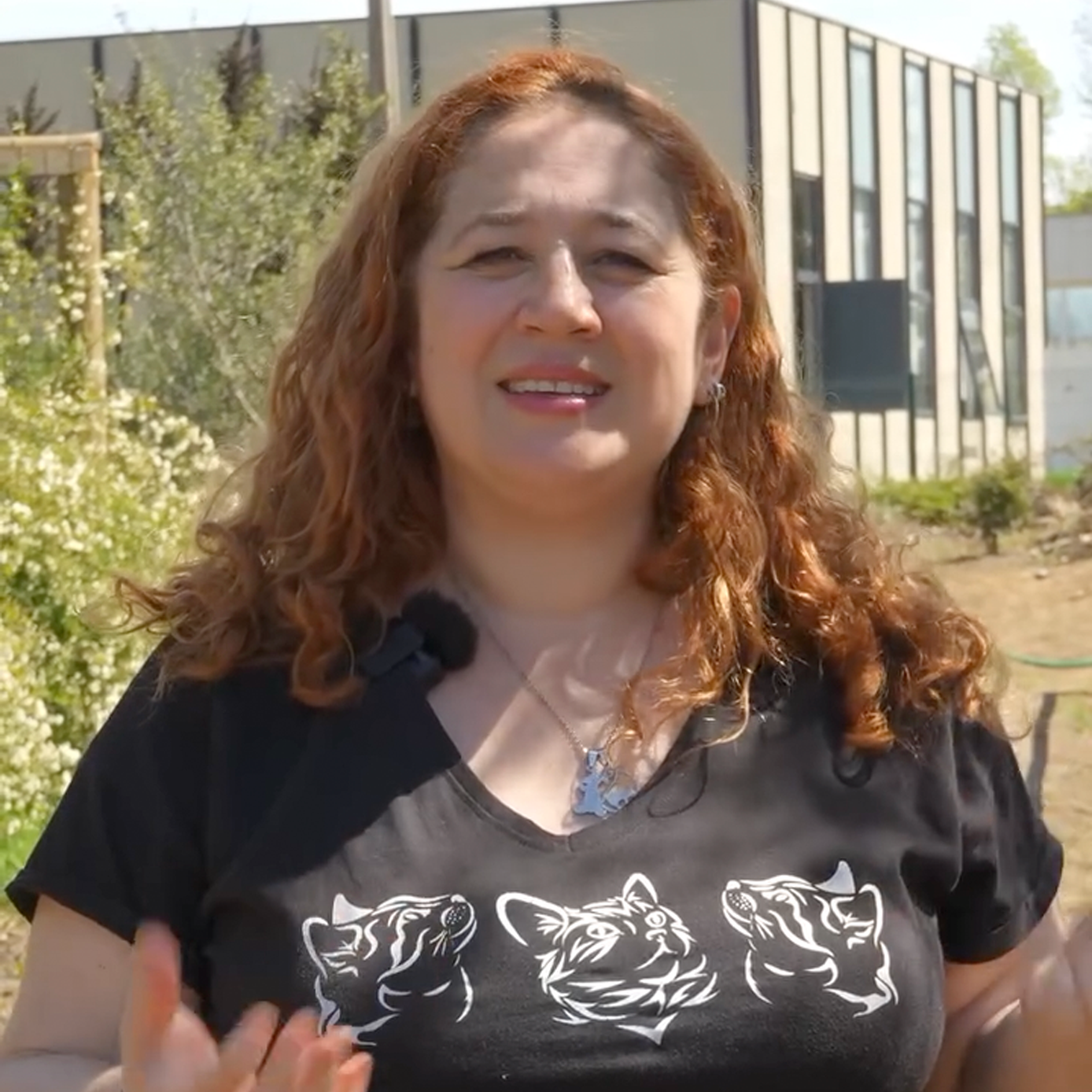 4-huertas