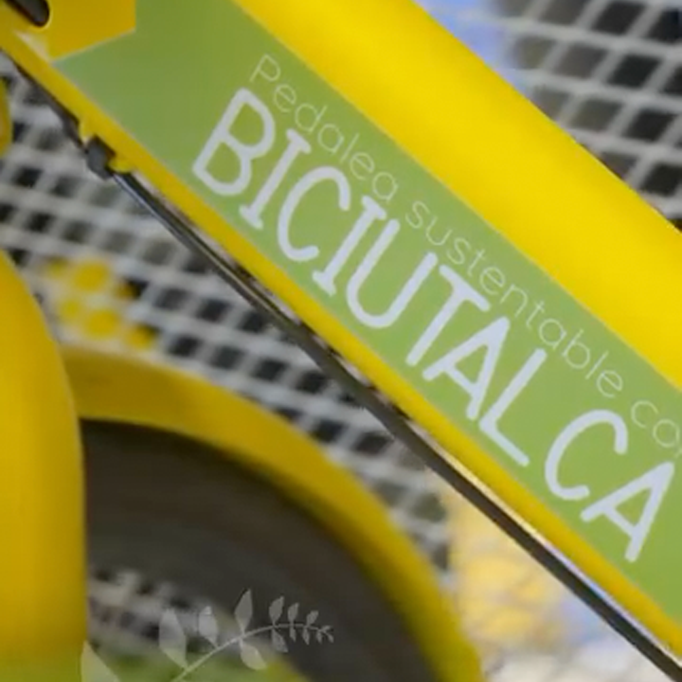 5-Bici